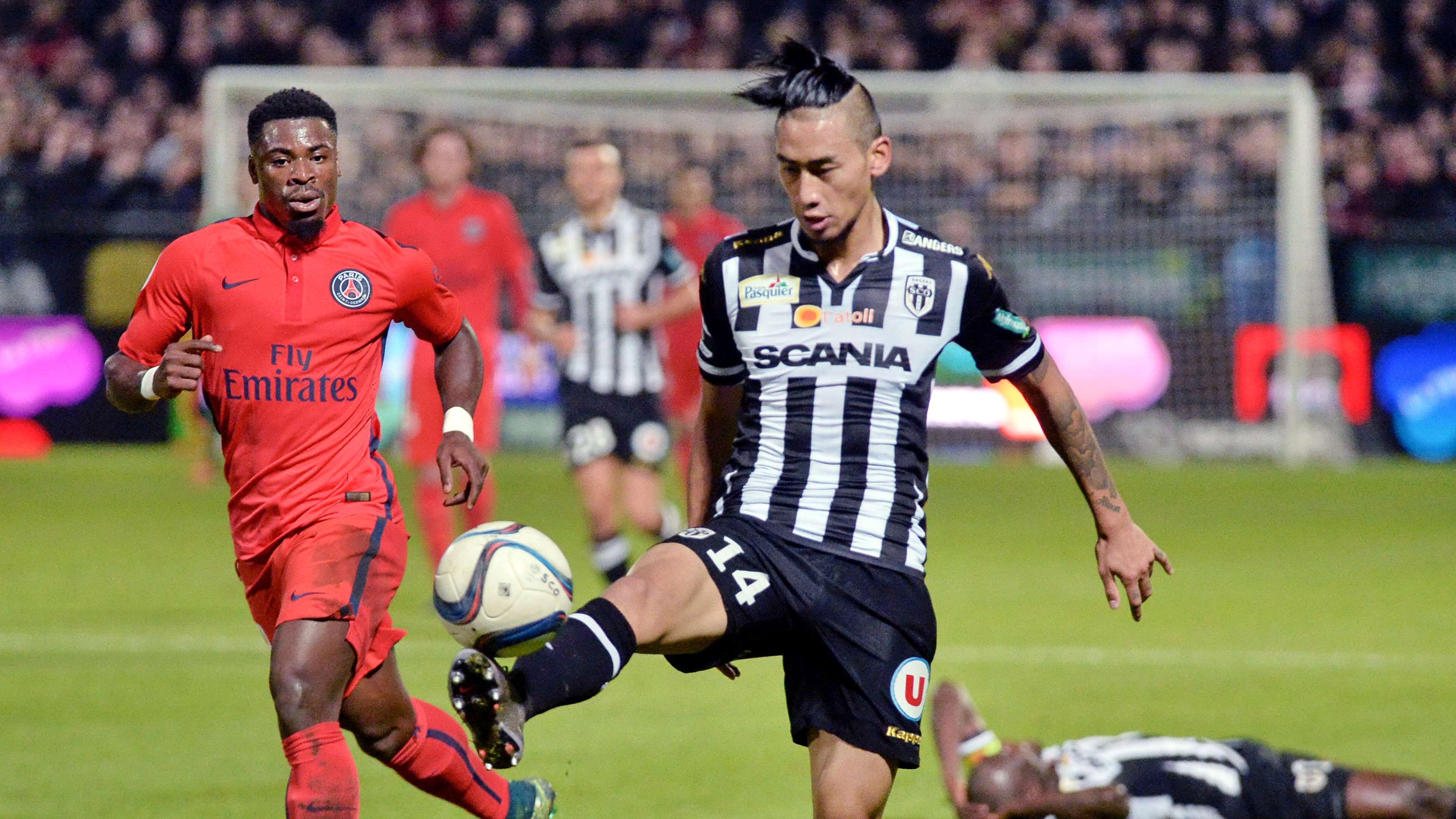 取得了可观 取得了可观